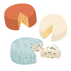 Set of cheese heads. Cheeses of all types and flavors. Tasty appetizer to the main course. Farming and cheese making. Vector illustration for a grocery store.
