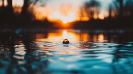 Captivating Sunset Reflections on Water Droplet