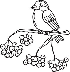 Rowan branch with bird drawing. Winter nature doodle