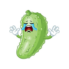 Cartoon Sad Pickle Character,