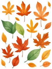 Obraz premium Watercolor Autumn Leaves Clipart, Fall Leaves, Leaf Illustrations, Digital Download, Maple leaf, Thanksgiving card decoration, Autumn Foliage, white background, invitation, wall art, sublimation 
