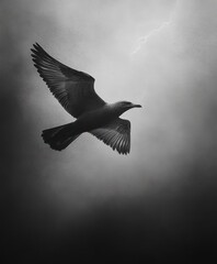 Fototapeta premium Majestic Seagull Soaring Through a Stormy Sky