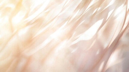 Soft organic textures with dappled lighting, creating a blurred abstract background with warm tones suitable for design presentations and visual effects