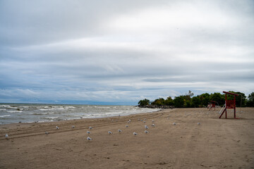 View of Scarborough Bluffs Beach in Toronto.