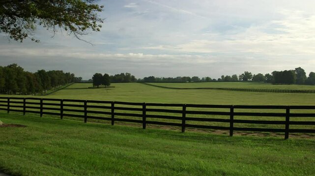 Horse farm landscape with fence