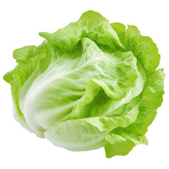Fototapeta premium A large green leafy vegetable with a white stem Transparent Background