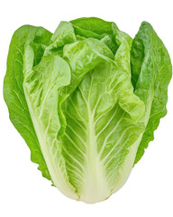 A large green leafy vegetable with a pointed tip Transparent Background