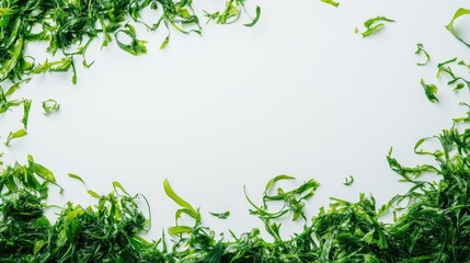 Vivid green seaweed arranged neatly on a pristine white background, showcasing its texture and color in a natural display.