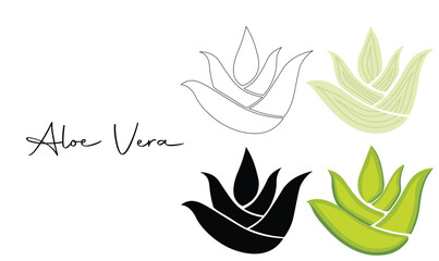 Stylized aloe vera. A minimalist illustration exploring nature's healing essence through artistic simplicity and bold designs. Aloe vera plant, leaves. Flat vector illustration isolated on white.