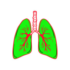 Human-lungs-green-red-and-white-color