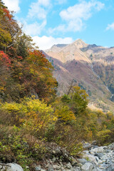 紅葉真っ盛りの群馬県の山々