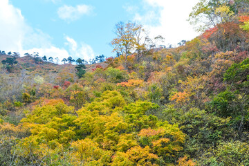 紅葉真っ盛りの群馬県の山々