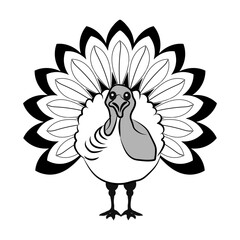 Thanksgiving day turkey clipart design.