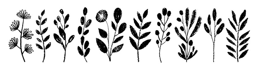Plant, flower, leaf in brush silhouette vector set. Floral hand drawn crayon paint branch. Abstract doodle black silhouette sketch ink illustration. Simple stroke doodle plant, flower, leaf branch art