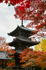 京都 真如堂の三重塔と紅葉