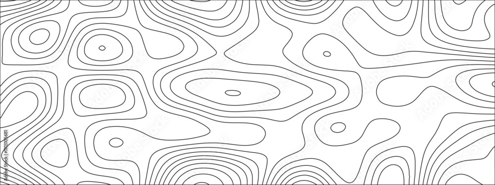Poster abstract background with vector illustration of topographic line contour map, black-white design. ex