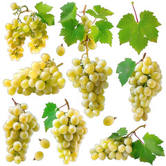 Grape chardonnay set cutout, white grapes, farm autumn vineyard season winery dieting white background png