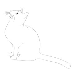 猫　線画