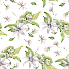 Jasmine blooms, buds, leaves levitation watercolor seamless pattern isolated. Pale pink flowers botanical style hand drawn on repeating texture. White blooming plants background for design textile.