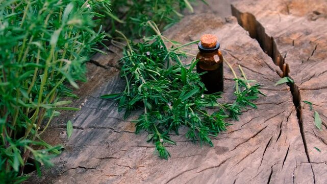 Thyme extract in a bottle. Selective focus.