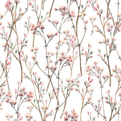 Twig with pink cream buds. Gypsophila flowers watercolor seamless pattern. Pastel coloured dried herbs, dry blades of grass for fabric, wallpaper print isolated from background hand drawn illustration