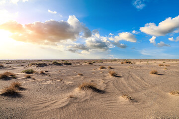 Gobi Desert Sand Ground. Outdoor natural background.