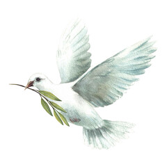 White dove with olive green branch. Flying pigeon bird, symbol of peace, religious sign. Watercolor hand drawn illustration for Christening, first communion, Baptism card. Isolated from background