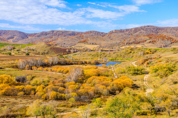 Fototapeta premium Colorful forest and mountain nature landscape in autumn. Beautiful Ulan Butong grassland scenery in Inner Mongolia, China.