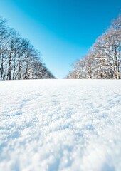 Fototapeta premium A blanket of snow covers the ground, inviting sledding and snowball fights, winter time, snow blanket