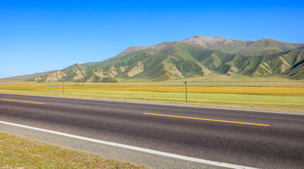 Countryside asphalt road and green meadow with mountains nature landscape in Xinjiang. Road trip.