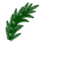 christmas tree branches, tree, leaves, png, leaves on white, leaf icon, leaf png, christmas tree border, leave, leaf, plant