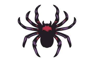 The Tarantula color image for illustration