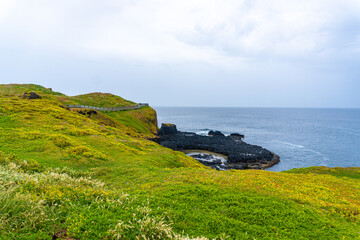 view of the coast of the sea