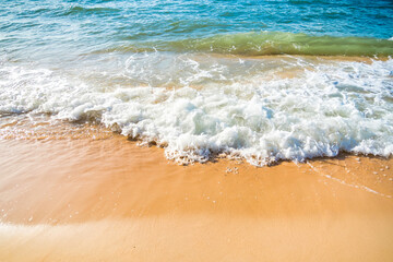 Serene Ocean Waves Gently Caressing Sandy Beach Shoreline in Golden Sunlight