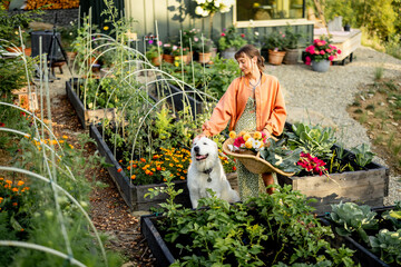 A young woman with her dog, holding a basket of fresh vegetables and flowers in a vibrant garden. A...