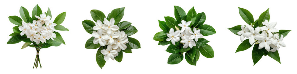 Fototapeta premium Elegant White Flower Bouquet with Green Leaves in Natural Setting