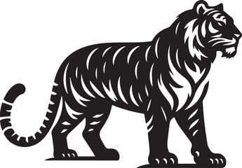 Tiger silhouette - vector image of tiger - jungle animal of tiger - fierce tiger,