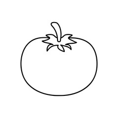 illustration of a tomato