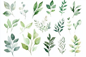 Naklejka premium Set of watercolor green leaves.