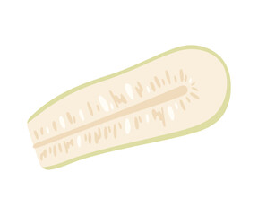 Slice zucchini isolated on white background. Hand drawing vector illustration