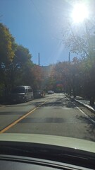 Autumn Atmosphere With Cool Weather In Korea