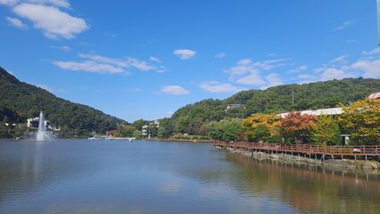 Fototapeta premium Autumn Atmosphere With Cool Weather In Korea
