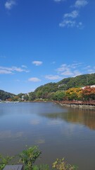Fototapeta premium Autumn Atmosphere With Cool Weather In Korea