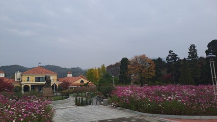 Autumn Atmosphere With Cool Weather In Korea
