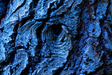 Rough surface of a pine trunk with deep furrows, cracks, scars and knothole. Black-blue coloration...