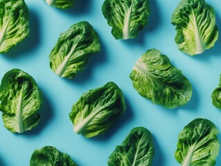 Fresh Green Leafy Vegetables Arrangement