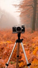 a camera on a tripod in a forest. The camera is an older model, black and white, and the tripod is silver.
