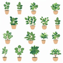 Fototapeta premium Ficus Pot Plant Icon Set, Ficus Plant Flat Design, Abstract Ficuses Symbol, Simple Pot Flowers Isolated