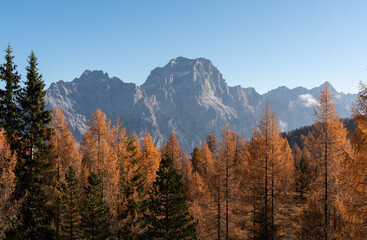 Dolomite mountains with an orange larch forest in the valley below