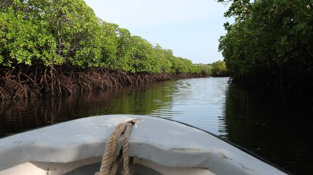 Boat in the Mangrove, Lamu County, Lamu, Kenya